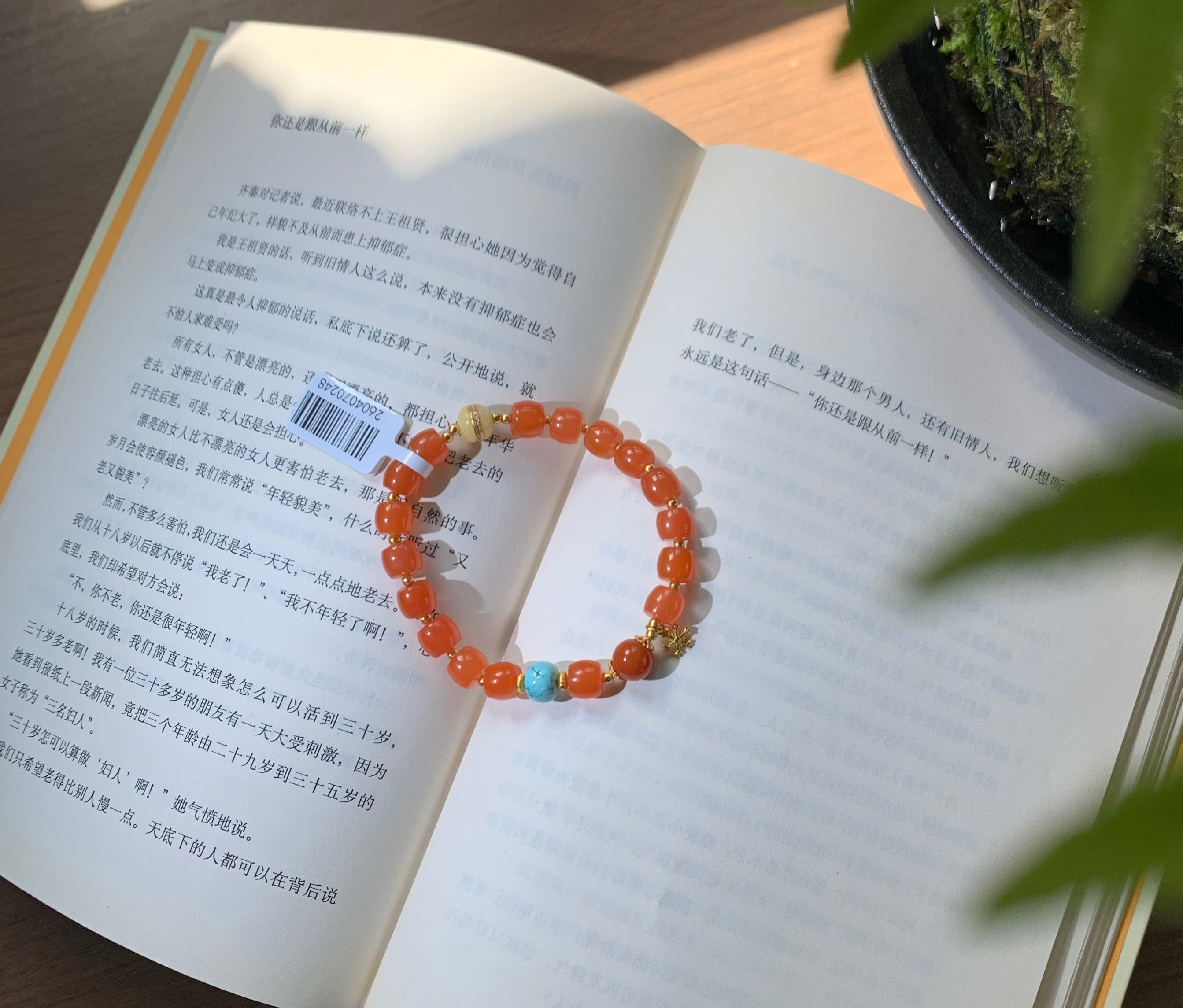 Gold Charm Nanhong Red Agate Bracelet product detail photo